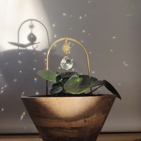 Mini Plant Suncatcher PILEA STAR