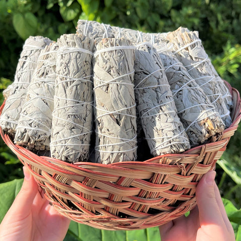 4" White Sage Smudge Wholesale Bulk Bundles